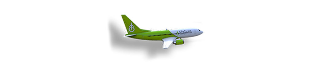 Airbus A330-200/300 Initial and Recurrent Training Course