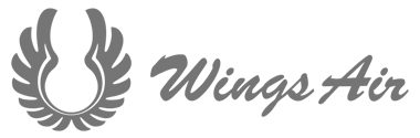 wings air logo